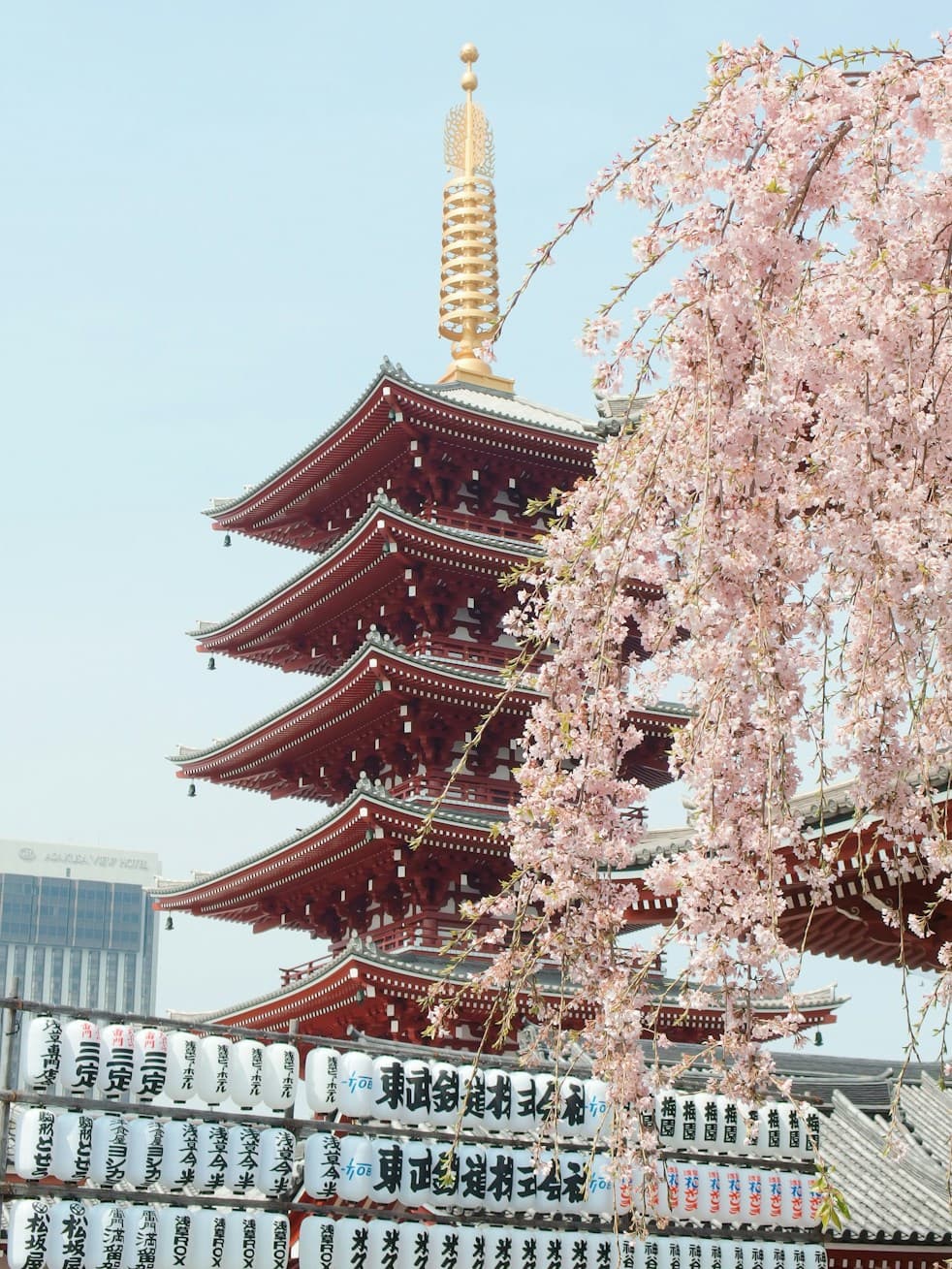 Red five-storey pagoda framed by cherry blossoms